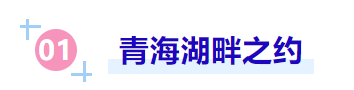 4ed43fc19cb3e447